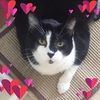 gail_joyce